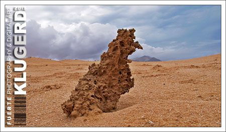 Fuerteventura | Versteinertes Wespennest in der Wüste
