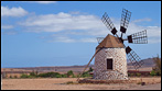 Fuerteventura - Fotos der Woche - Molino de Tefia
