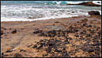 Fuerteventura - Fotos der Woche - Am Strand von La Pared
