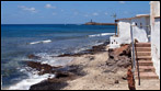 Fuerteventura - Fotos der Woche - Puerto de la Cruz
