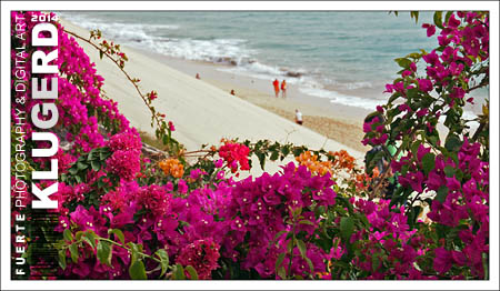 Fuerteventura - Fotos der Woche - Bougainvillea an der Playa de la Cebada