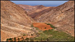 Fuerteventura - Fotos der Woche - (Stausee) Embalse de las Peñitas