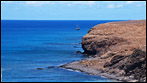 Fuerteventura - Fotos der Woche - Punta del Viento