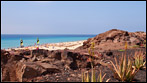 Fuerteventura - Fotos der Woche | Playa del Matorral :: Jandia