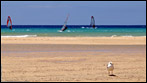 Fuerteventura - Fotos der Woche | Promenade :: Risco del Paso
