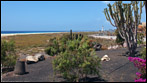 Fuerteventura - Fotos der Woche | Playa del Matorral :: Jandia
