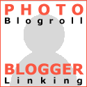 Canon-Blogger Linking & Blogroll