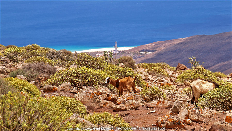 Fuerteventura :: Tag 16 | Rauf auf den Pico de la Zarza