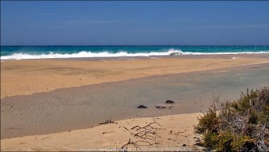 Fuerteventura :: Tag 2 | Hier ist schön, hier bleib ich