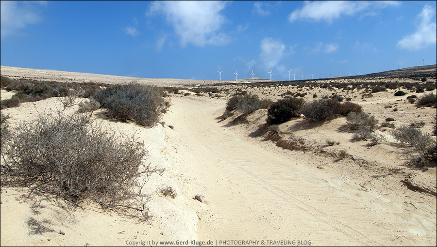 Fuerteventura :: Tag 16 | Und ab in die Wüste