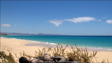 Fuerteventura :: Tag 17 | Wie im Paradies