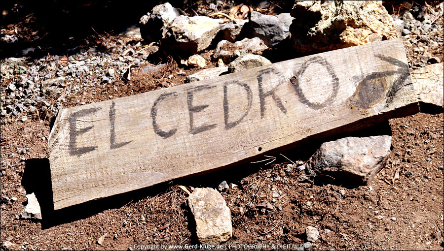 La Gomera :: Tag 7 | Rund um El Cedro oder wo ist der Weg