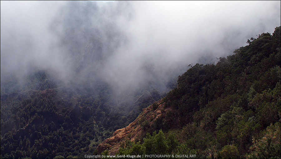 La Gomera :: Tag 15 | Die Jagd nach dem Nebel