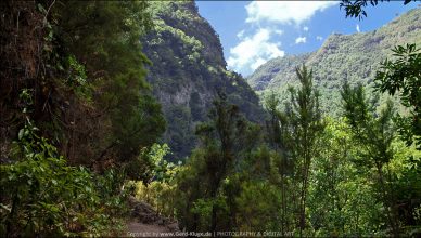 La Palma :: Tag 3 | Der Lorbeerurwald von Los Tilos