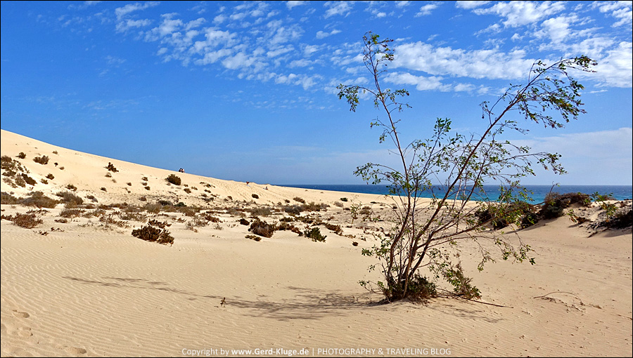 Playa de Sotavento | Fuerteventura • Dezember/Januar 2022 | Fuerteventura • Dezember/Januar 2022